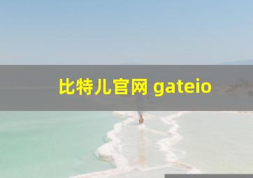 比特儿官网 gateio